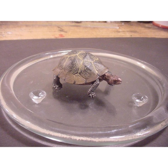 GIANT TORTOISE - Wild Safari Ltd Animal Figure - Picture 2 of 3